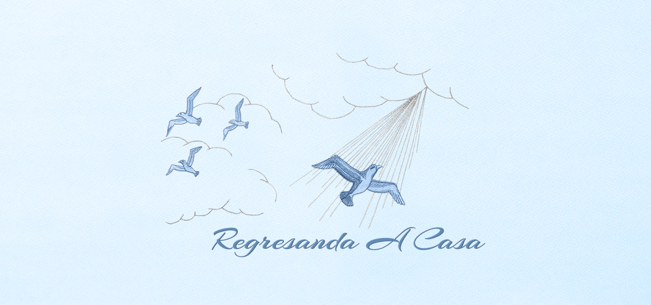 Regresanda A Casa Blue Blue Faux